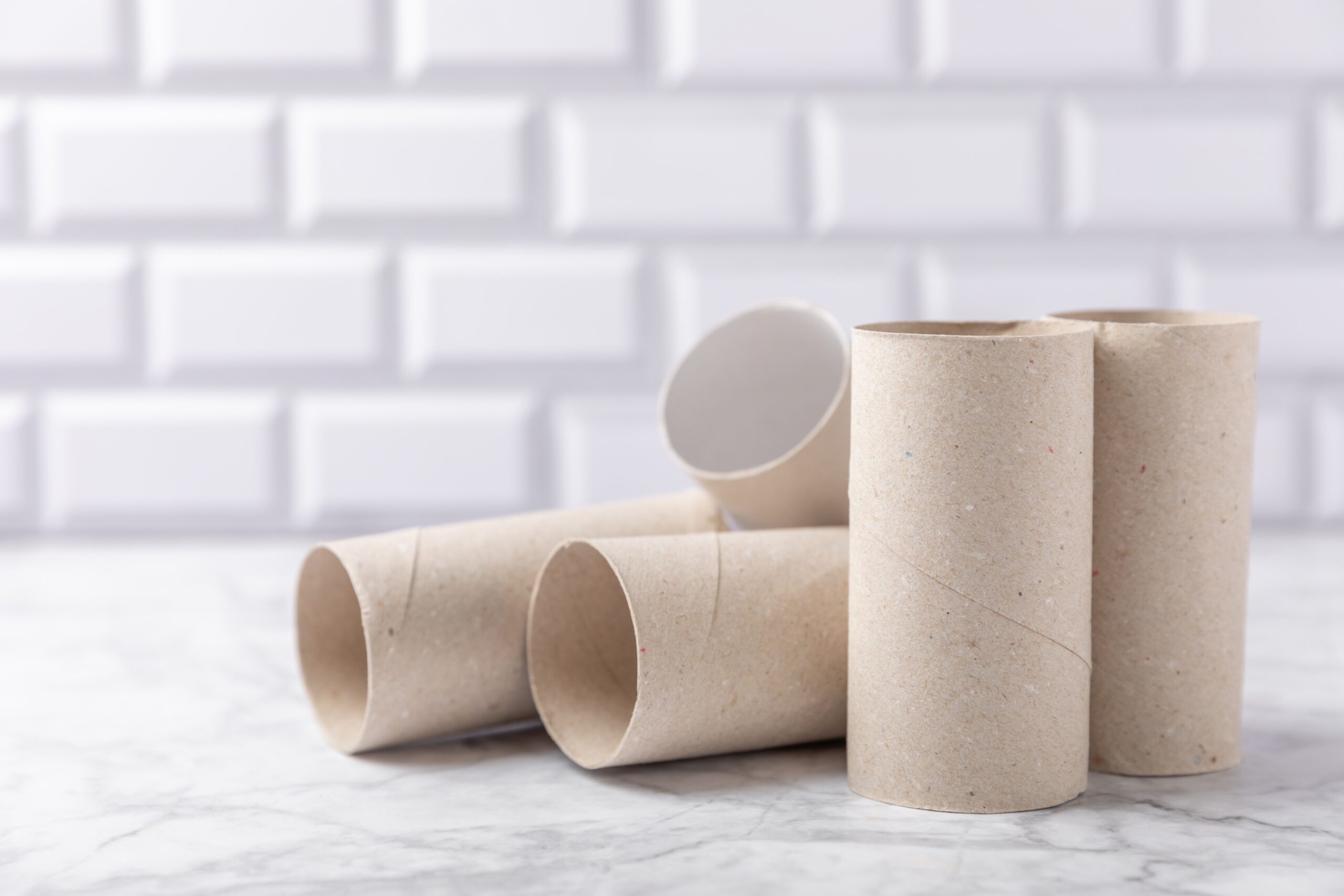 Empty,toilet,paper,roll.,rolls,of,toilet,paper,on,background.
